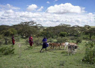 Maasai Volksgruppe